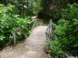 Bosque Estatal de Toro Negro - OROCOVIS, JAYUYA, JUANA DÍAZ